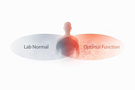 Normal Ferritin Levels: What "Normal" Can Miss (Women vs Men)